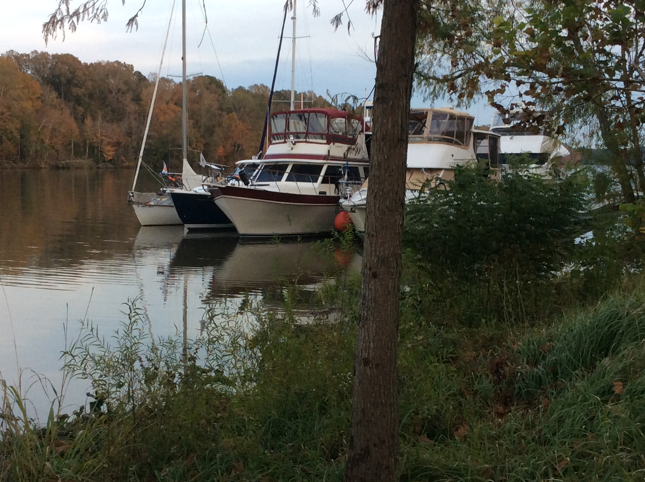 022403EE-CFF6-44E8-9DC4-E0A3A760689B