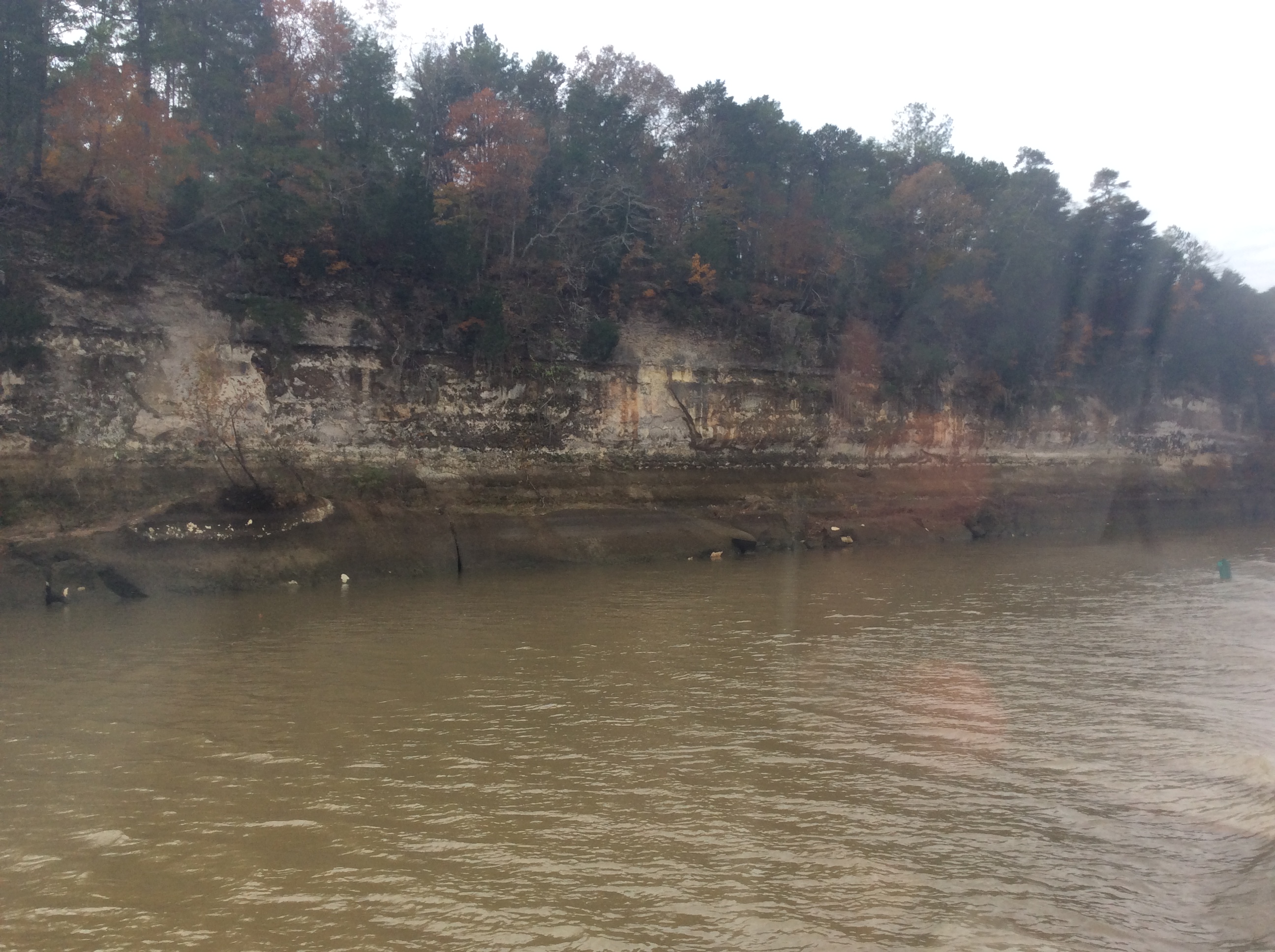 223CD2CA-9D1F-4648-9D68-2BC960011A7B