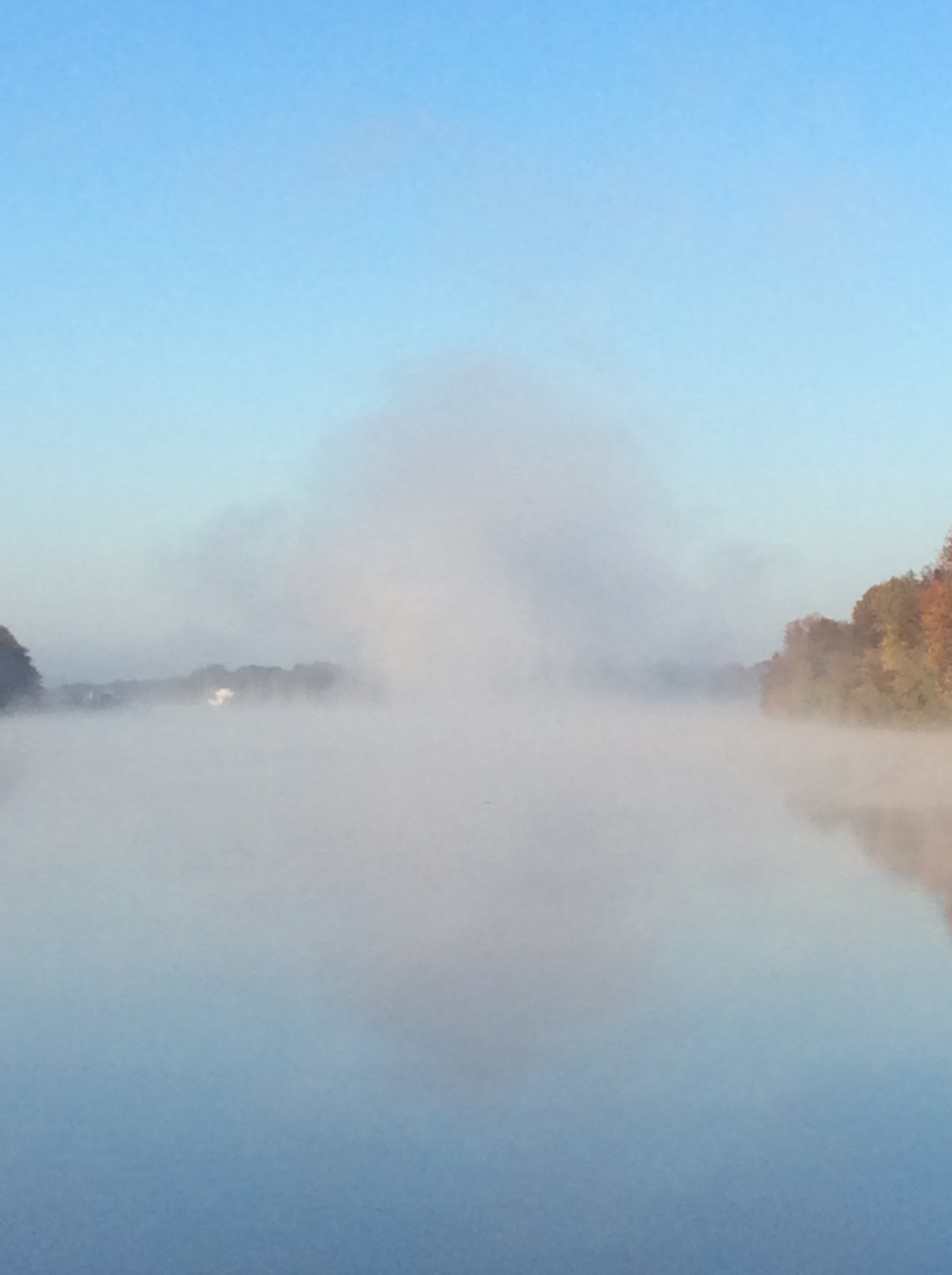 95AA581F-02D2-4918-A248-F0AD888DDC96