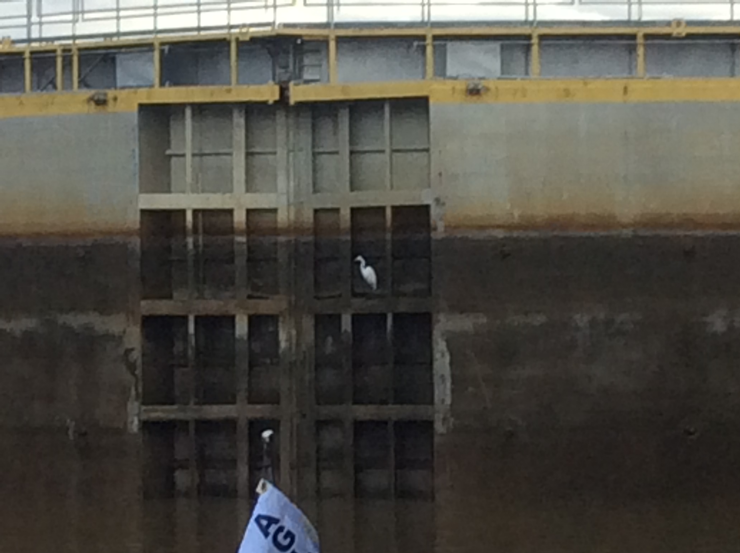 C18003D2-37E5-4186-8318-D20A0C0F9BA3