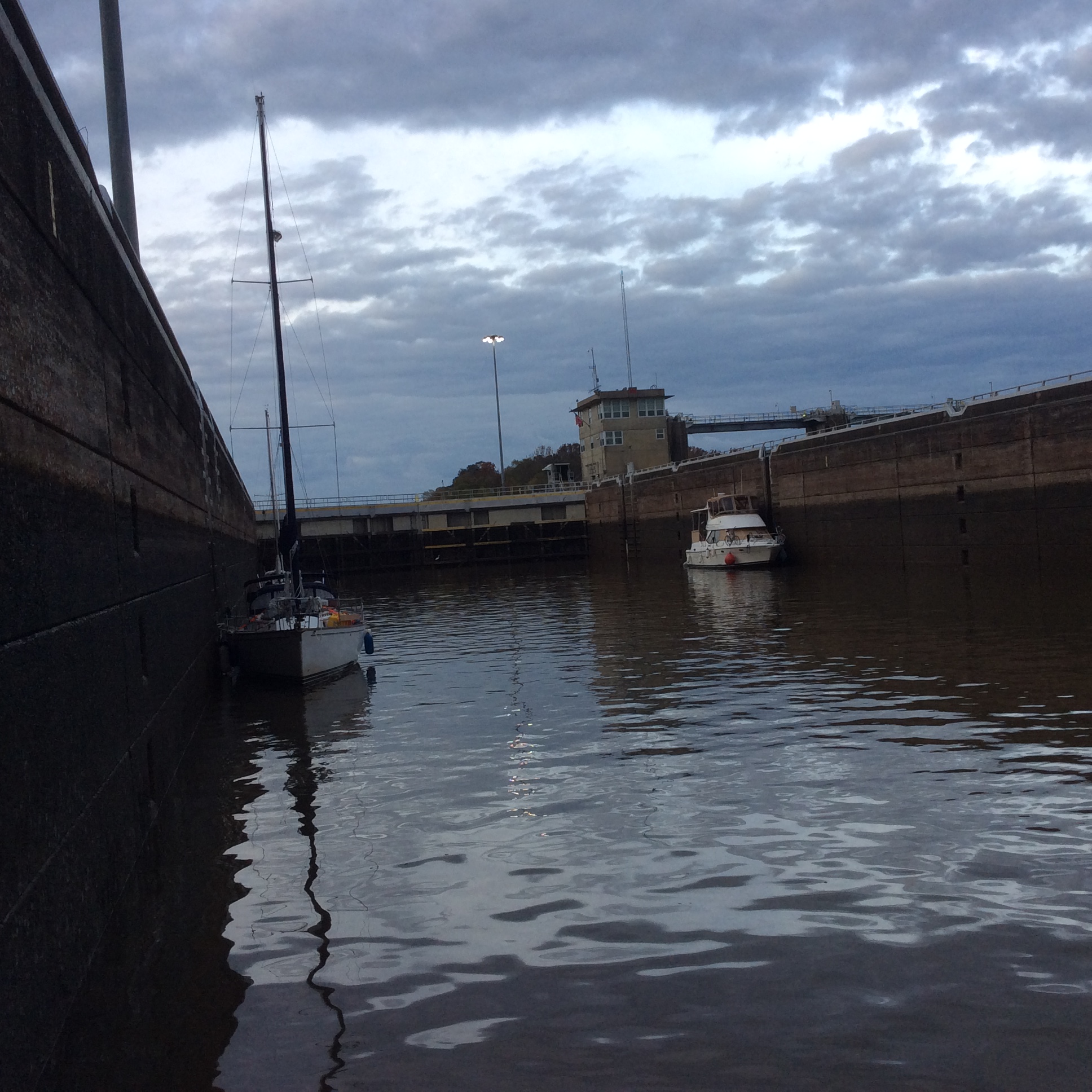 D89631E5-3FA5-4A22-BEBE-E0F30A19C317