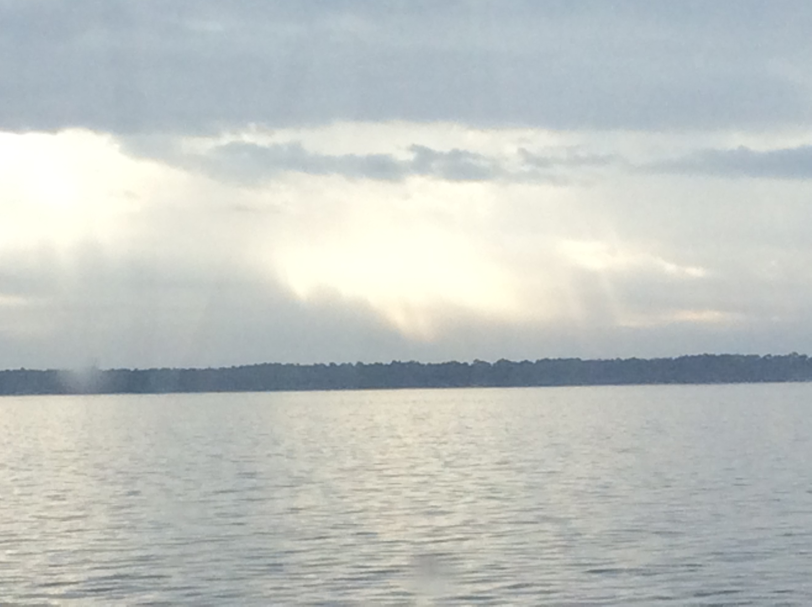 12180370-424D-4CEE-9403-7786975DEA34