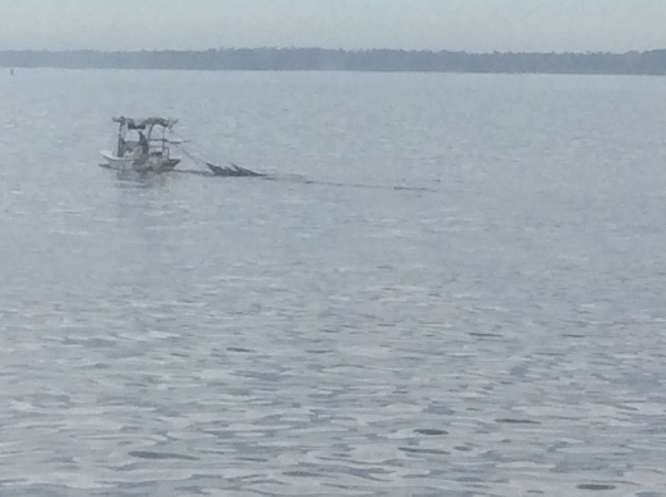 17FA38D6-C2DF-43EE-8277-9A6D5EB26EF4