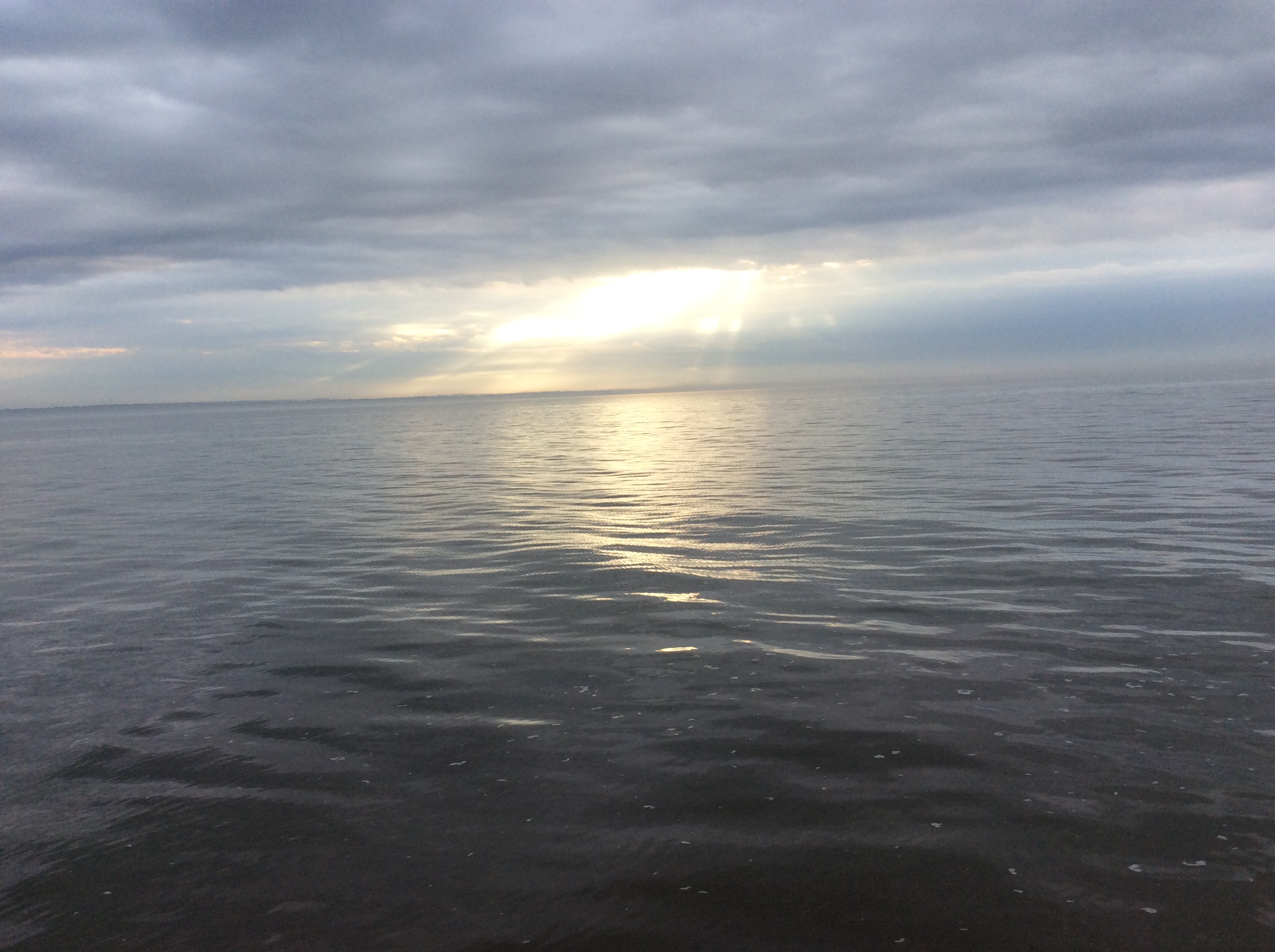 499CFC6C-42EB-46AC-9AA1-3D0D09768F61