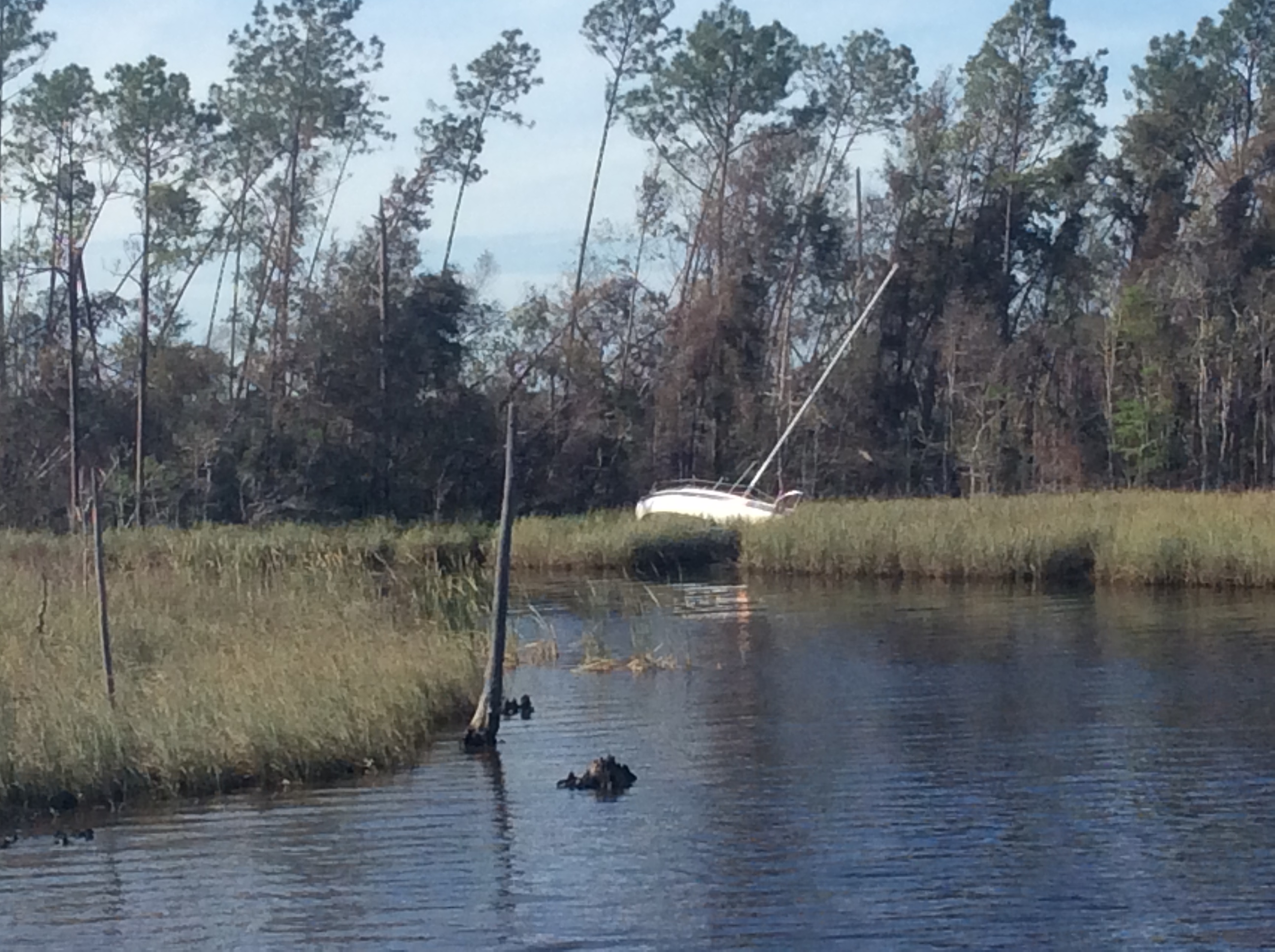 4F29DBD8-C9B0-457E-85ED-870C5B9B0E25