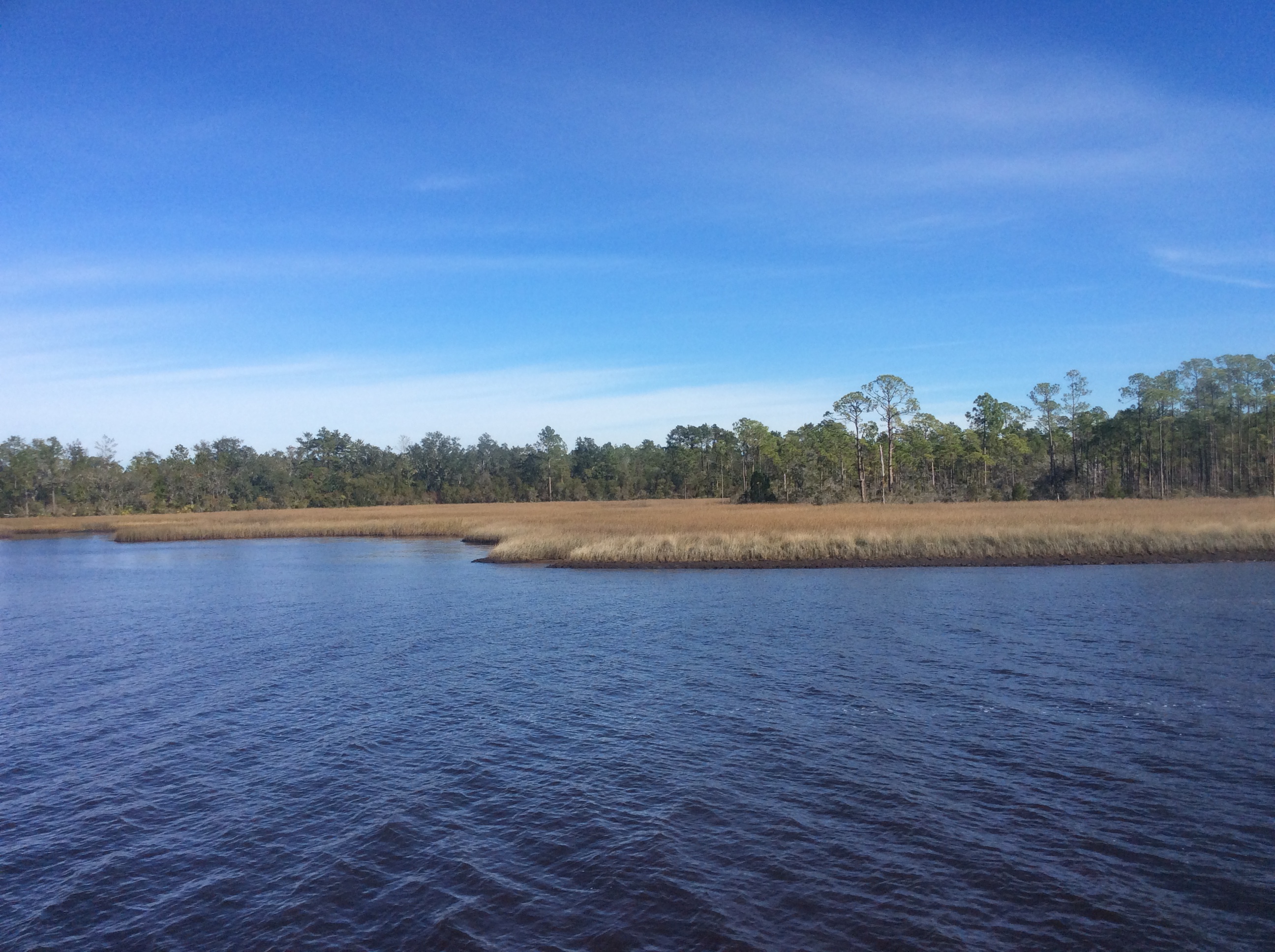 562941D1-CFF6-486C-AF86-3DB1DD268C33