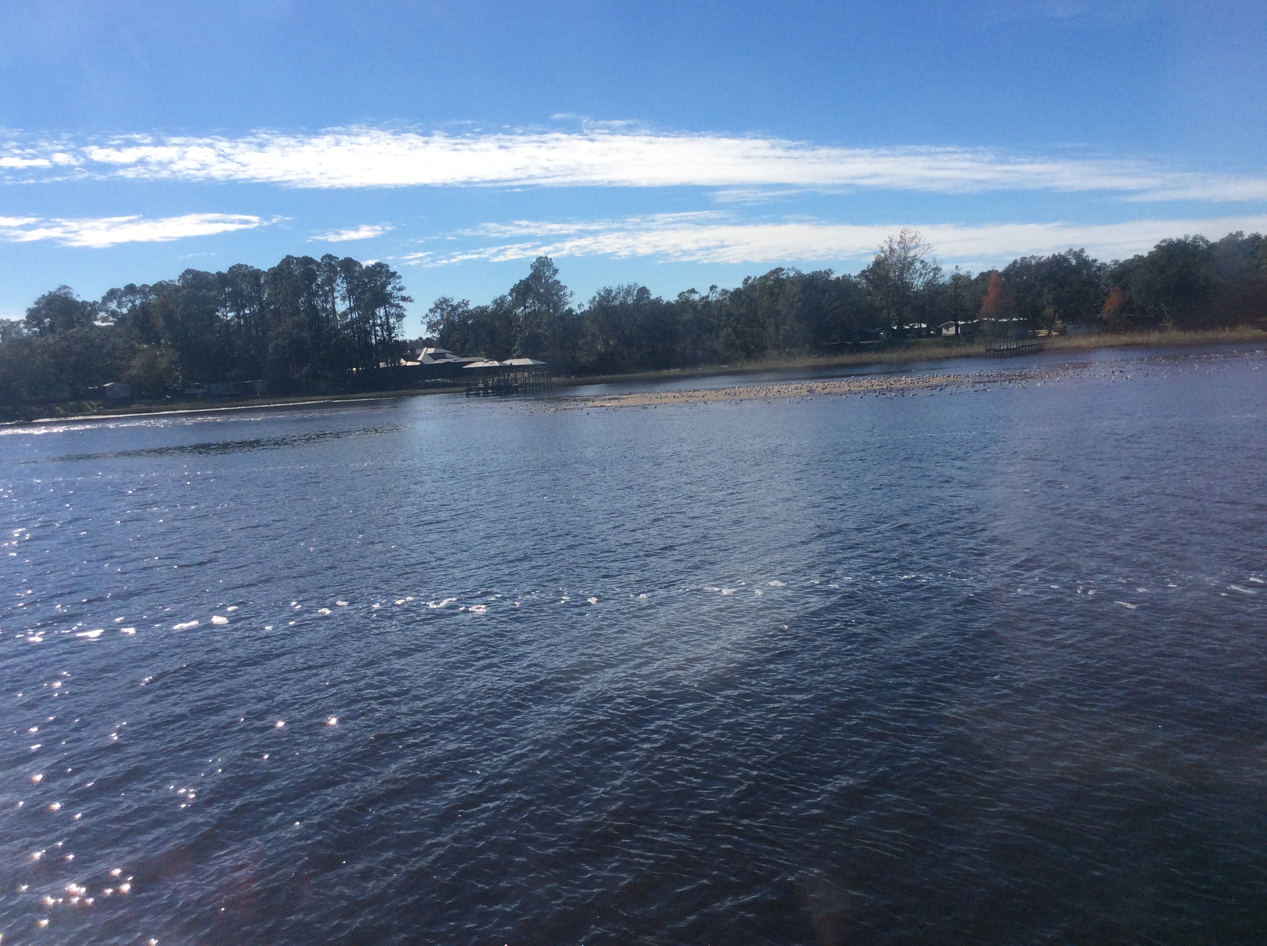 5EC1DF68-5DF3-4C5E-B11B-15F8C53F36BD