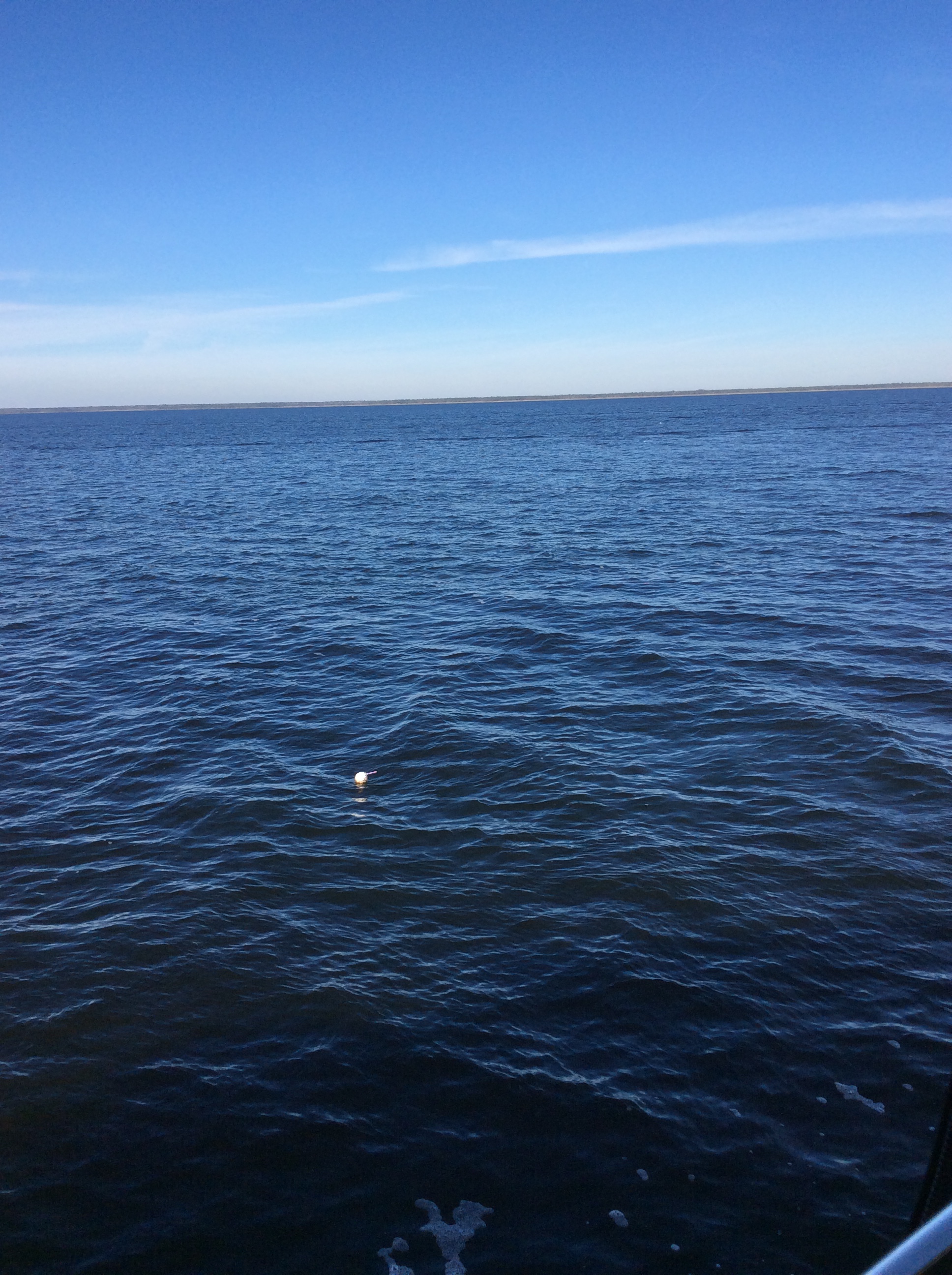 668FD162-AEEF-4157-8983-2F32AAEF951E