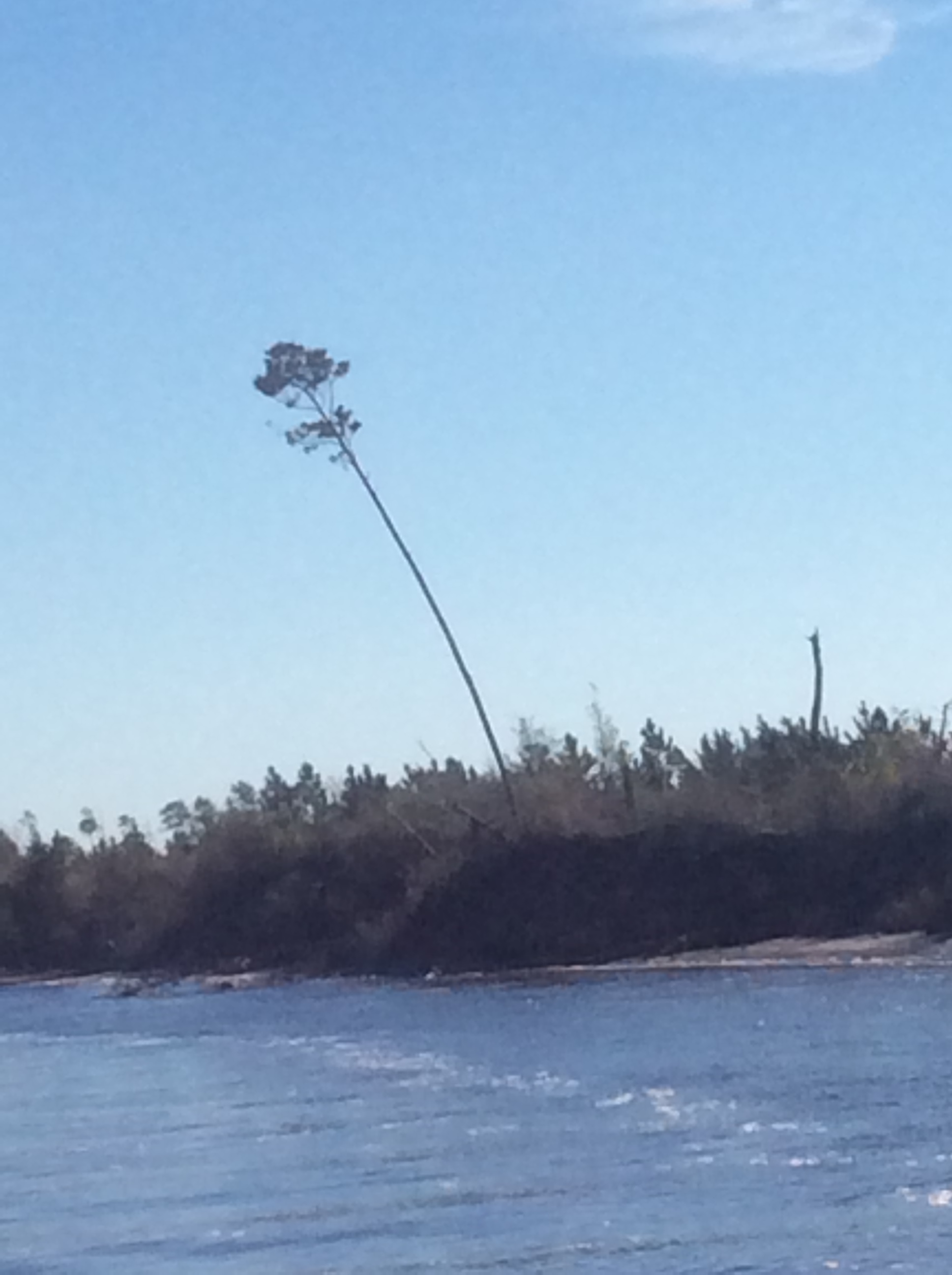 7004DB27-7E6D-45B9-9F08-AF827ACB350A