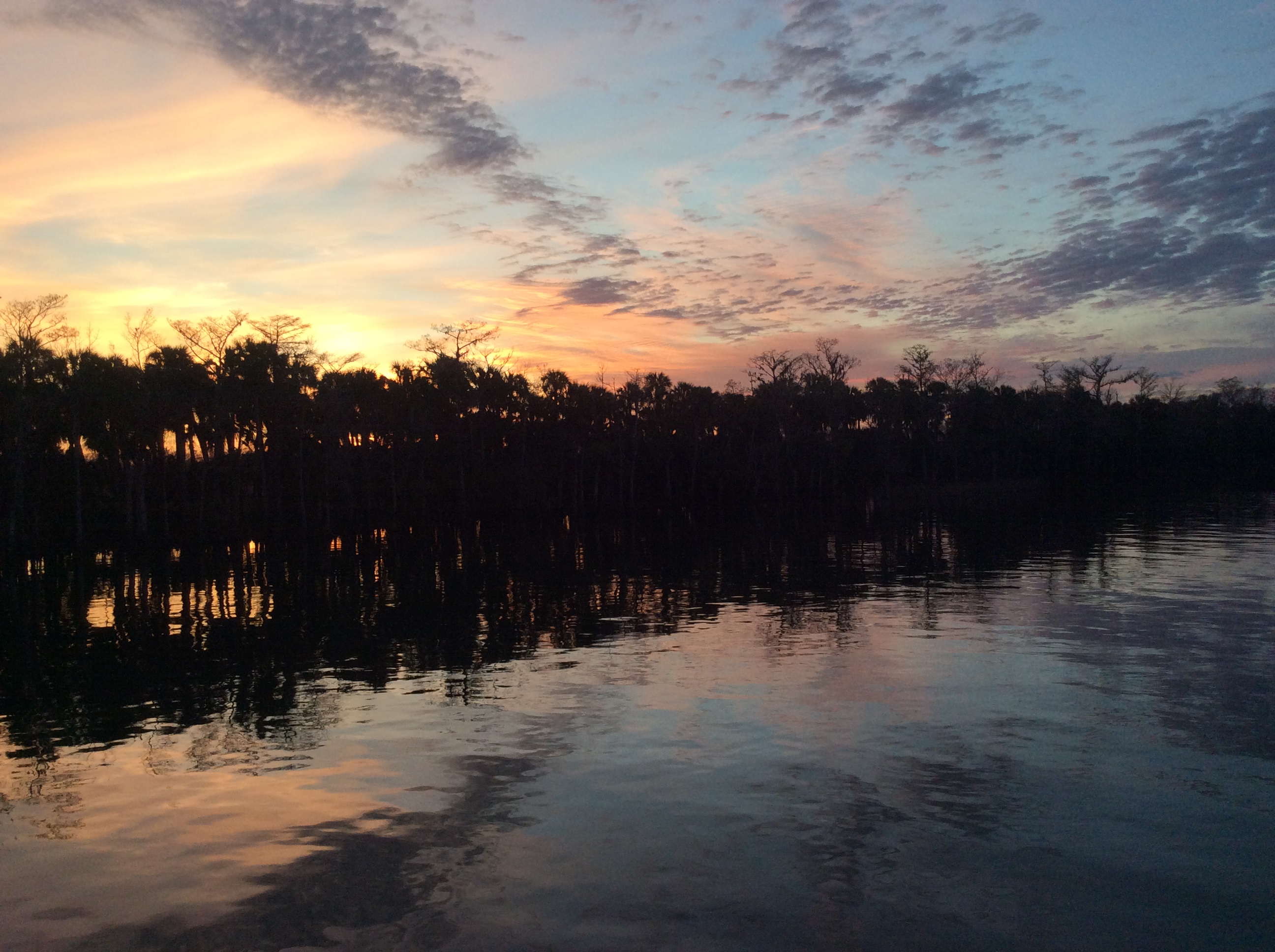 7DD26C7A-956E-4BD5-A414-EA63C07E3693