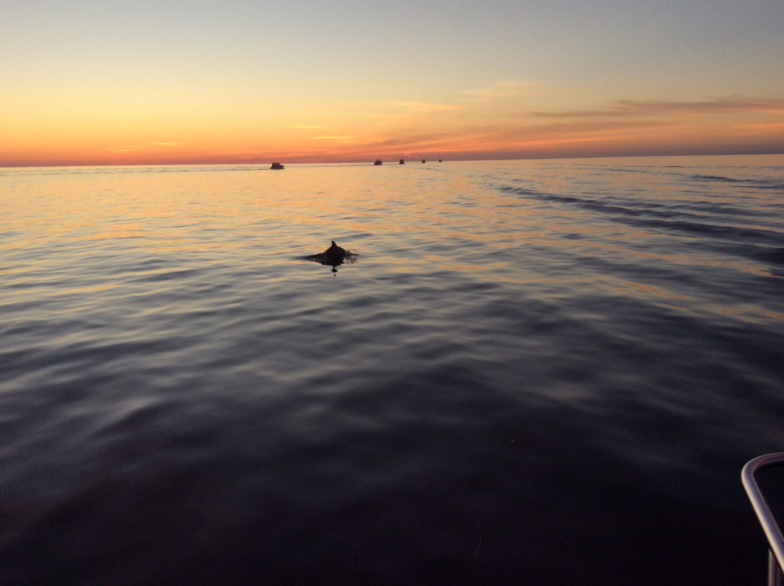 82980DD3-DF81-4AE4-992E-70973E0448A2