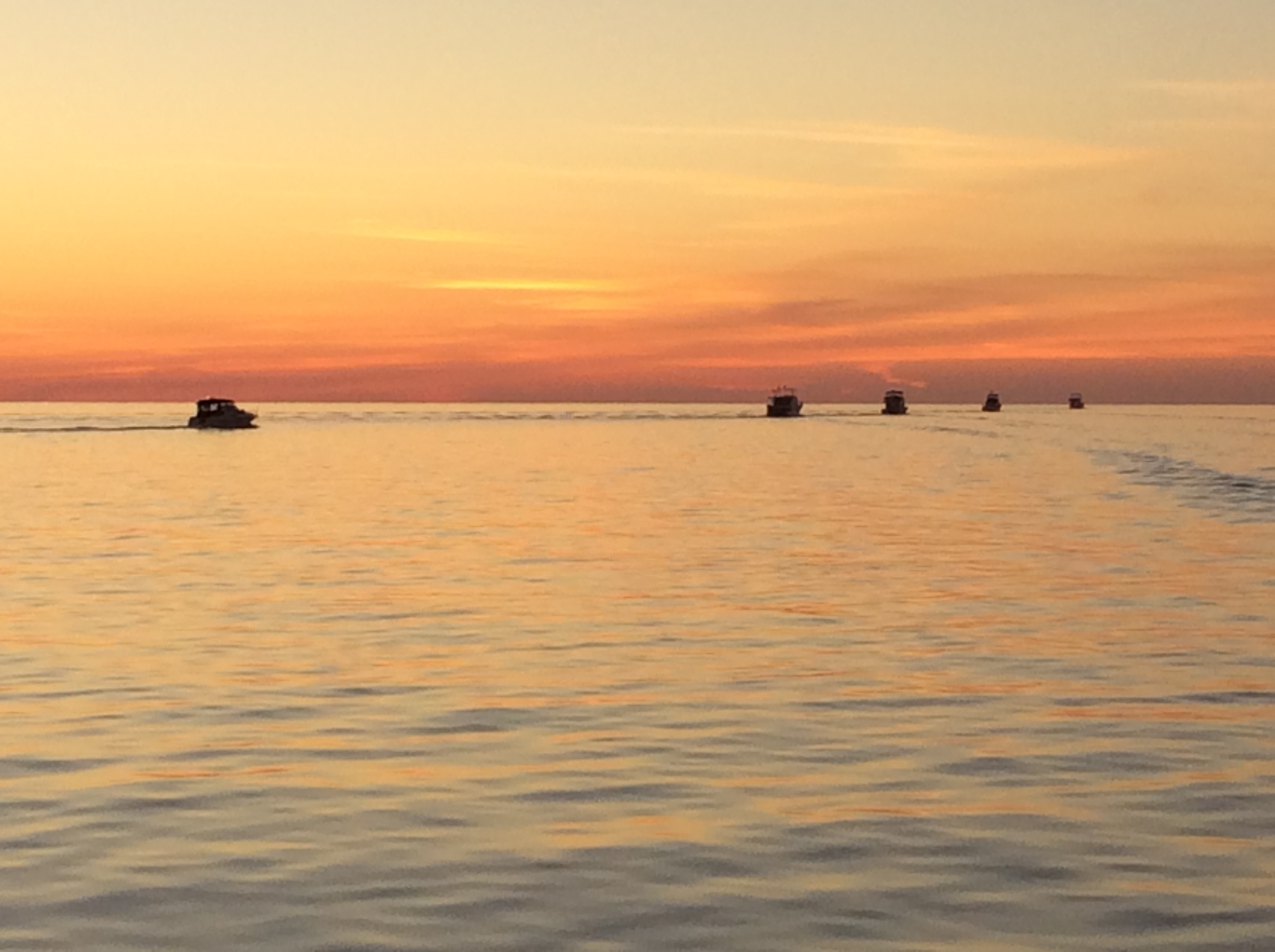 A01C6B74-D6A1-401C-8DA6-34A03748EE68