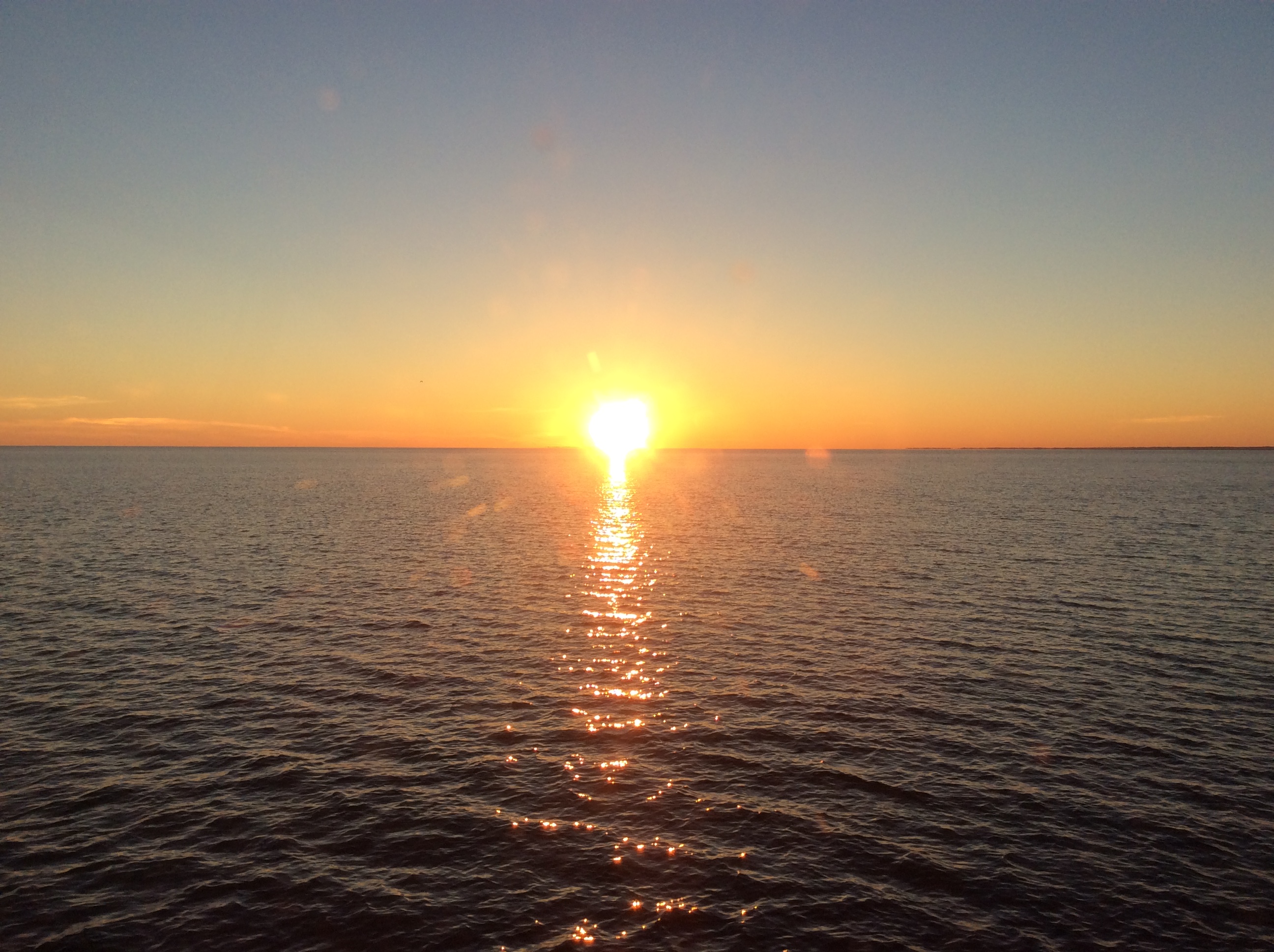 FEC6E343-8B3D-47A2-B442-B2BE4CCEC694