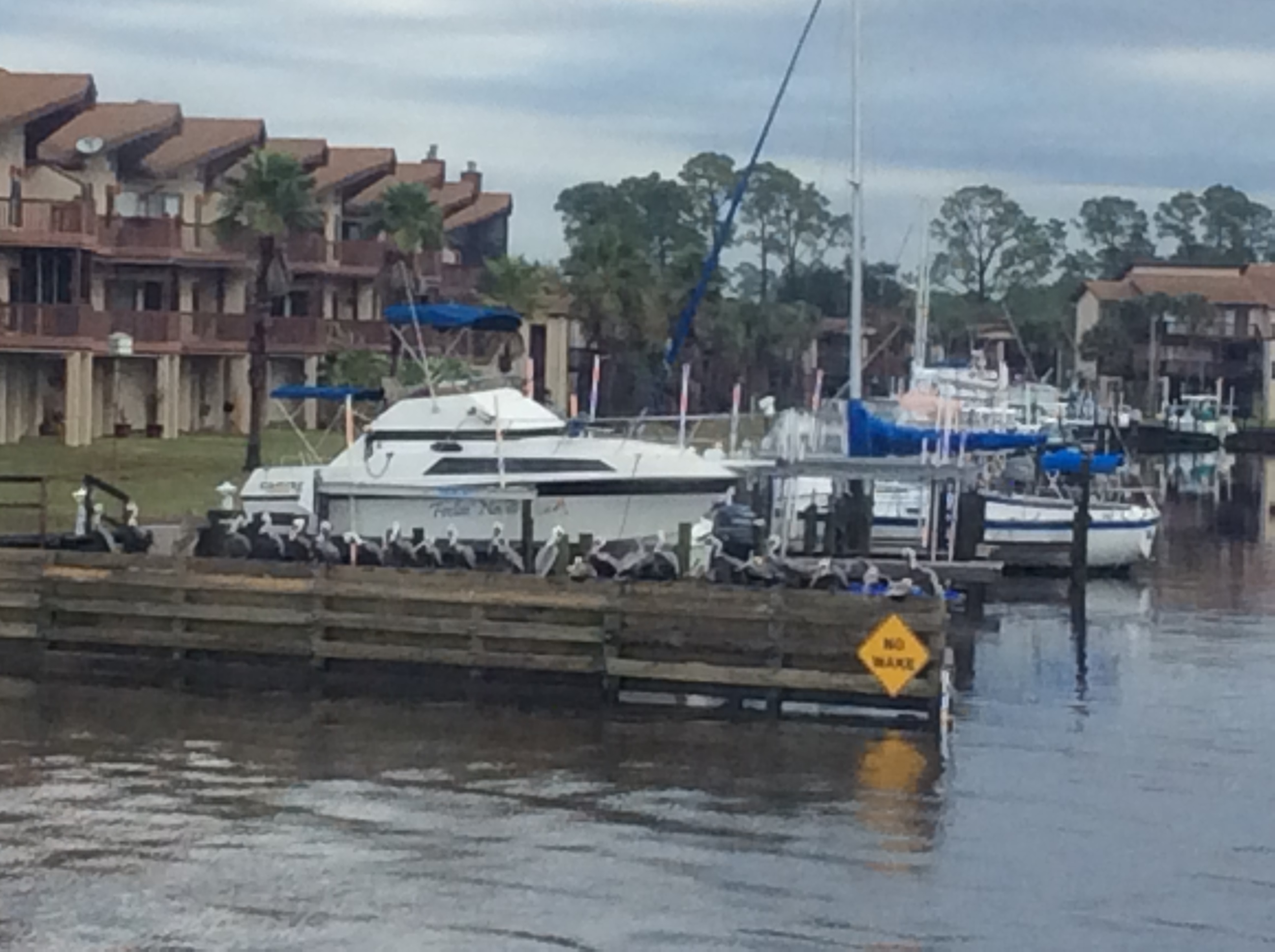 A954DBDE-FBC3-41FD-A899-E94E7F680D94