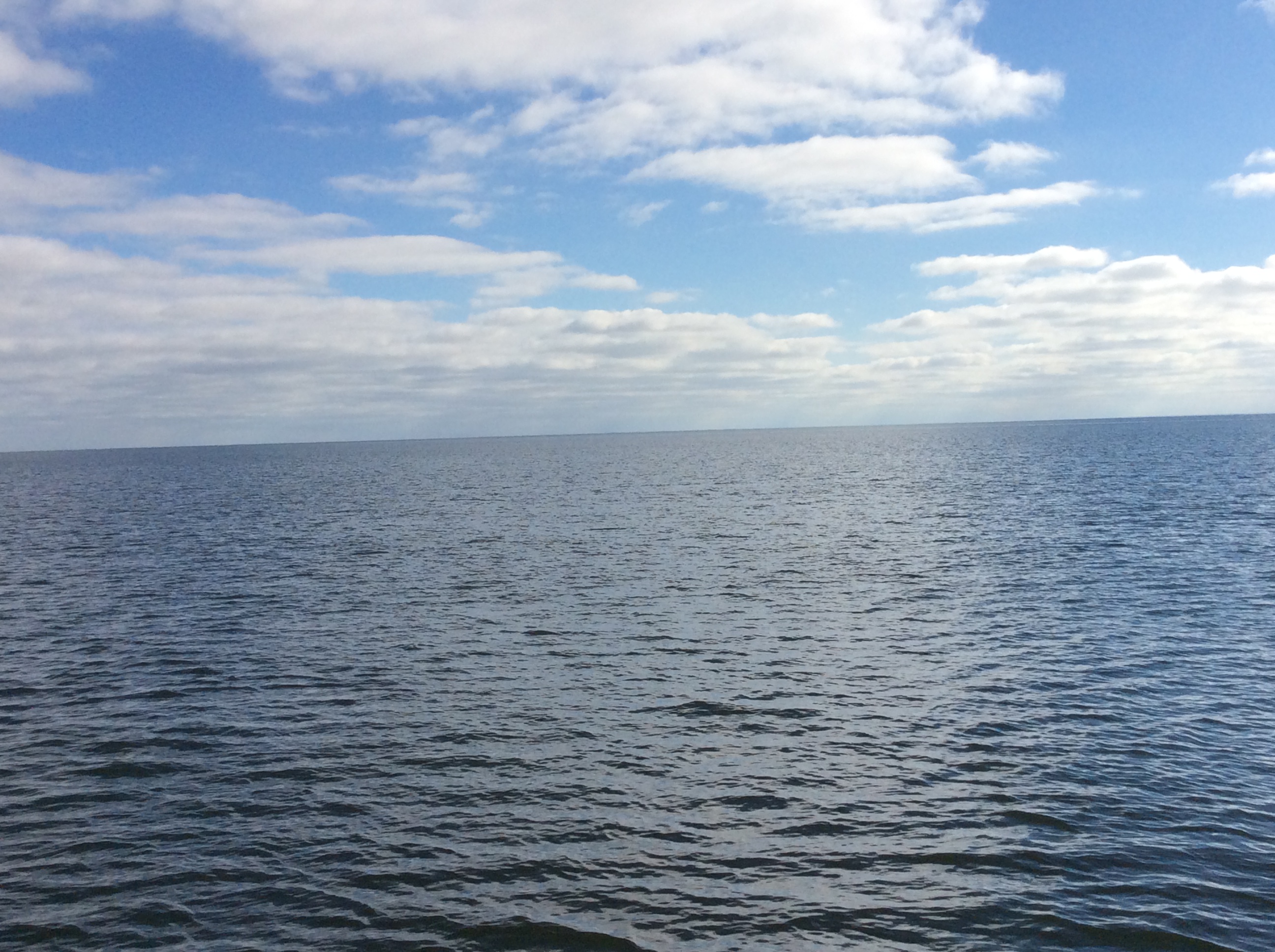 B978A2B6-B620-4F75-90A4-CD783883733B