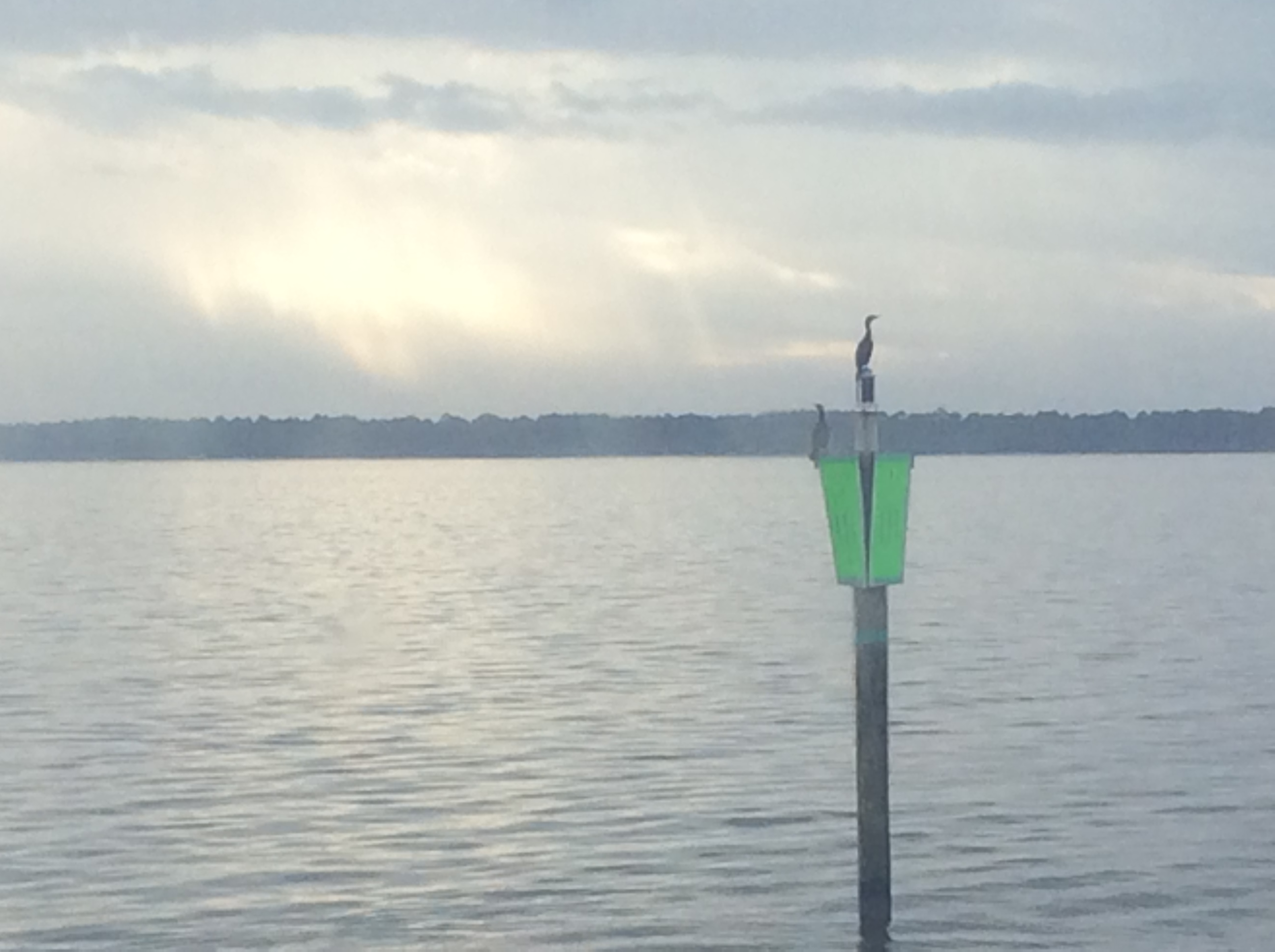 EBC887E5-3E35-4B78-8E60-FAF6269058B6