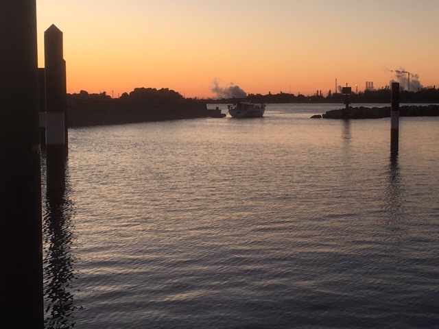 0F1F1089-BE33-4656-82CB-3E1F9DC367F5