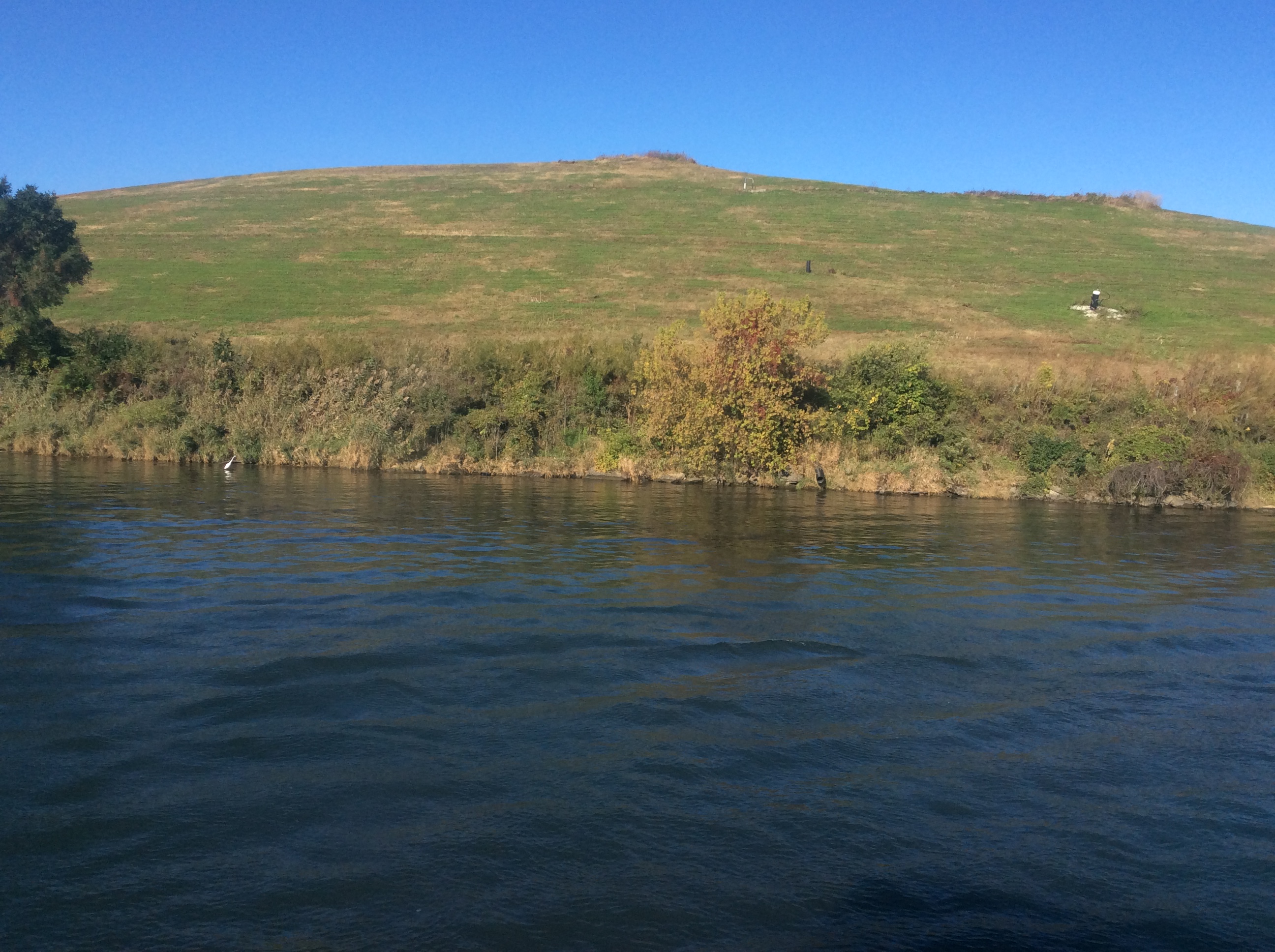 9E665E6E-EEAF-47C1-8466-7124991E2B63