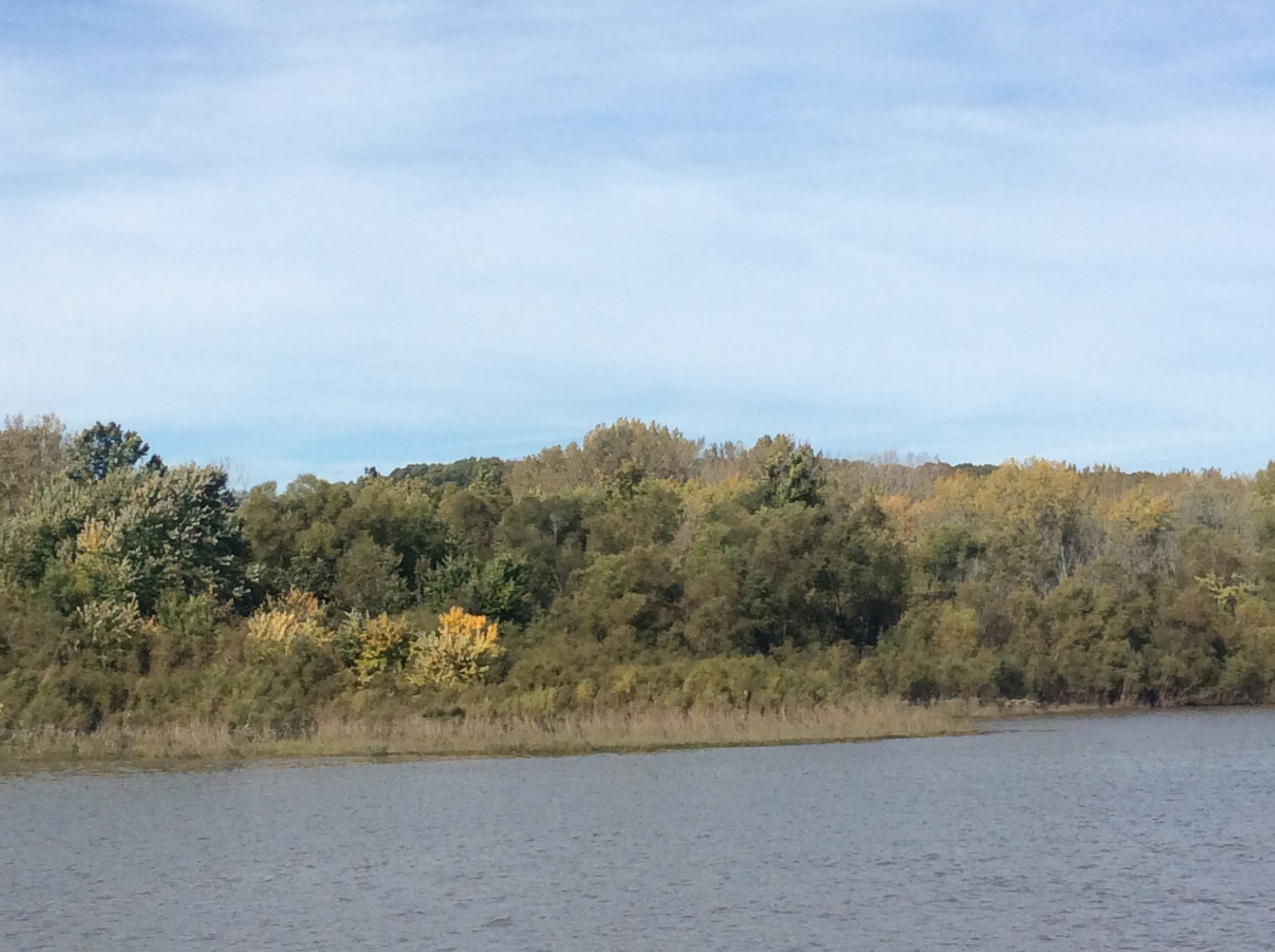 AA5CA720-D987-4AE0-86B0-F0A602AF02D5